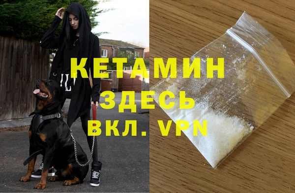 стафф Каменногорск