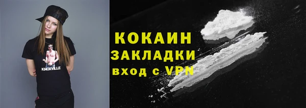 стафф Каменногорск