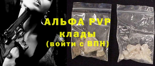 спайс Каменка