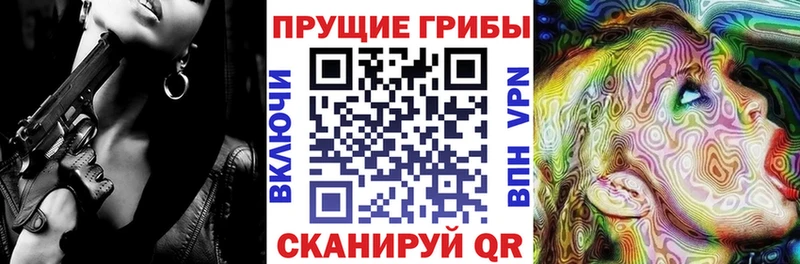 Купить  Чадан  Псилоцибиновые грибы Cubensis 
