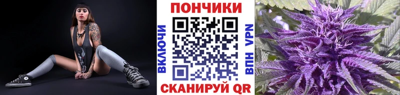 Каннабис Bruce Banner  Купить  Чадан 